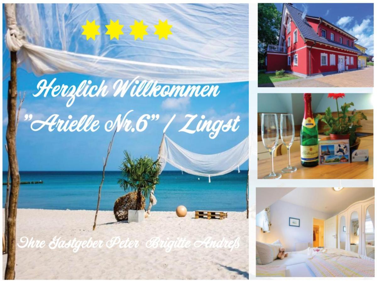 Arielle Nr 6 - Fuer Die Schoenste Zeit Des Jahres - Zingst Luaran gambar